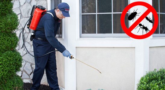 Çaycuma Kene İlaçlama böcek ilaçlama ve haşere kontrolü — ilaclama-tr.com